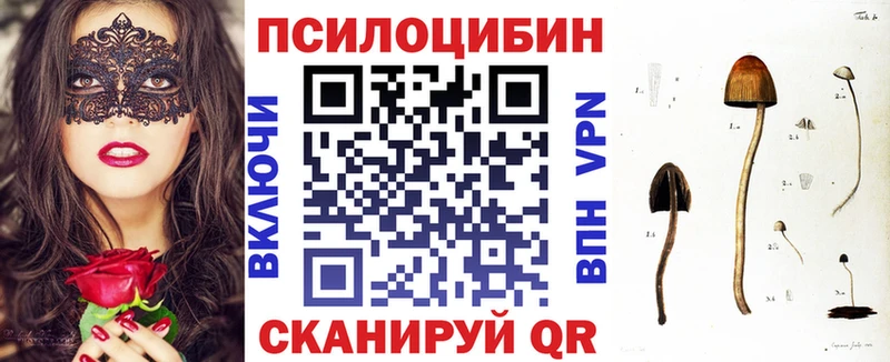 купить Сураж hydra tor Псилоцибиновые грибы мухоморы